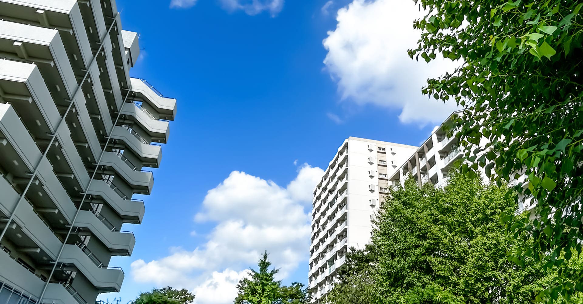 賃貸（お部屋・駐車場・土地などの賃貸物件情報）header｜賃貸アパート・不動産売買｜有限会社 誠政企画