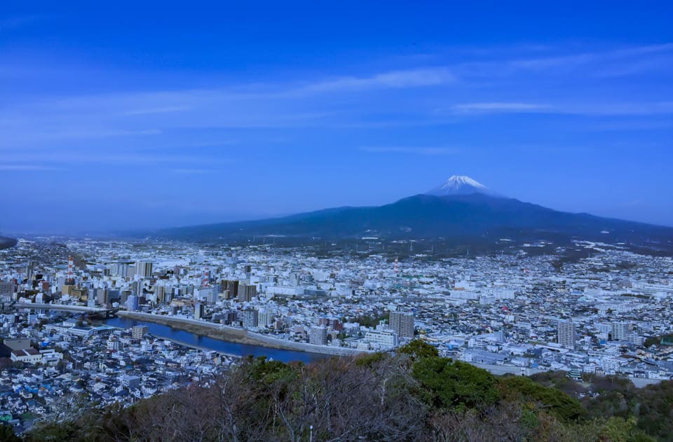 エリア 検索