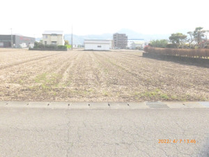 サムネイル画像