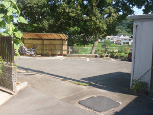 サムネイル画像